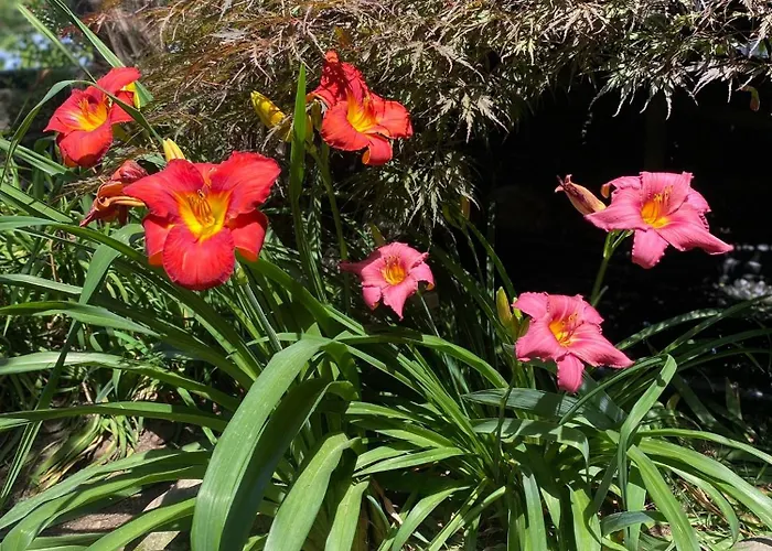 아파트 La Casa Rosa Di Riso Amaro *